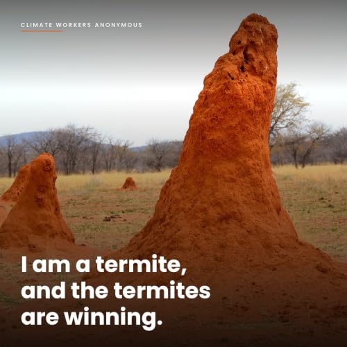 I am a termite, and the termites are winning.