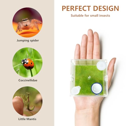 GKPONSX Acrylic Jumping Spider Enclosure, Spider Terrarium Accessories with Bowls Tongs Dropper for Snail Tarantula Scorpion Praying Mantis Isopods Insects