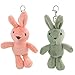 PRETYZOOM 2 STÜCKE Easter Bunny Keychain Plüsch Gefüllte Kaninchen Puppe Schlüsselanhänger Tierpuppe Dekorative Tasche Geldbörse Charme Ostern Party Favor Geschenk Rosa/Grün