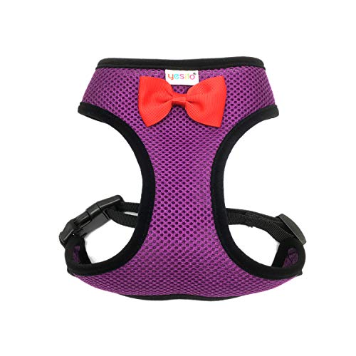 Yesito Chicken Harness Hen Size With 6-Foot Matching Belt, Comfortable, Breathable, Small Size, Suitable For Chicken, Duck Or Goose Suitable For Weight About 2.3-3.8Pounds, Orange (Small, Dark Purple) #TOP5