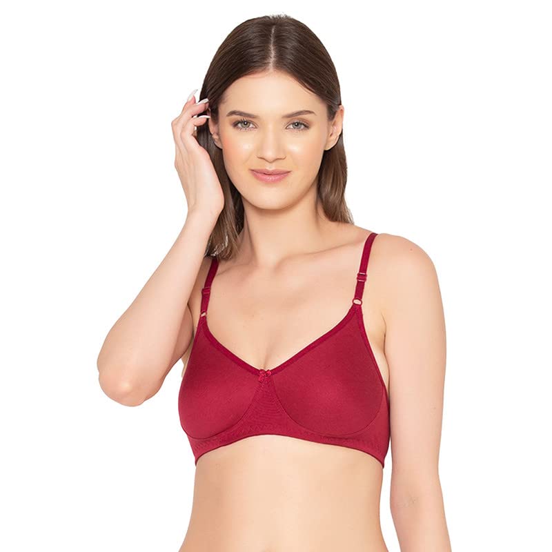 Image of Groversons Paris Beauty Women's Pack of 2 Seamless Non-Padded, Non-Wired Bra (COMB09)