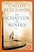 Der Schatten des Windes: Roman