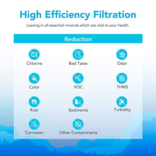 Icepure Rv Water Filter For Garden, Rv, Pool, Camper, Marine, Boat Hose For Drinking, Car Washing, Gardening, Planting, Spa, Reduces Chlorine, Bad Taste, Odors, With 1 Flexible Hose Protector, 2Pack #TOP3