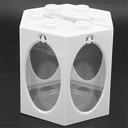 Aquário Aquário, Aquário Hexagonal de Plástico Durável e um Canto Arredondado Projete uma Visão Múlt