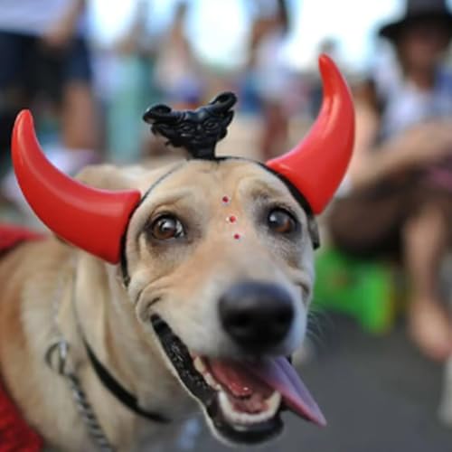 BloC&atilde;o - Blocos de Carnaval para cachorros