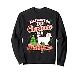 Perfetto soccorritore di cani o adozione di cani per gli amanti di Maltipoo. Prendi per te stesso, marito o moglie per questo Natale o Capodanno. Costume di Natale proprietario del cane per fratello, sorella, zio o zia. Tutto quello che voglio per questo Natale è un Maltipoo.