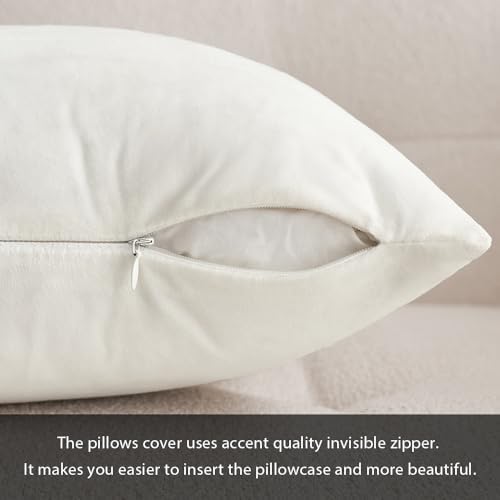 MIULEE Velvet Soft Soild Microfiber Decorative Square Pillow Case Throw Cushion Cover for Sofa Bedroom with Invisible Zipper Pure White 12"x20",2 Pieces