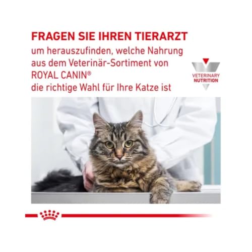 Royal Canin Veterinary Recovery | 12 x 195 g | Diät-Alleinfuttermittel für ausgewachsene Hunde und ausgewachsene Katzen | Ultra Soft Mousse mit einem hohen Proteingehalt