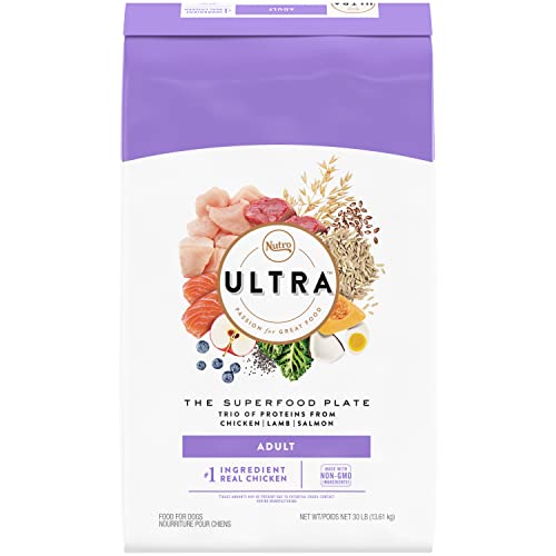 10 Best Dog Food for Medium Dogs Brands 2020