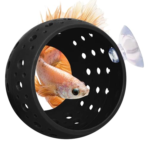 Image of Fhiny Betta Tunnel, Aquarium Fish Hideout with Suction Cup - Shrimp Cave Aquarium Decor for Small Fish, Shrimp, Guppy Hiding & Resting (Black)