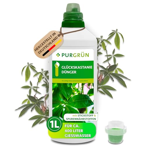 Purgrün® Glückskastanie-Dünger 1 Liter – Schnell wirksame mineralische Rezeptur – Premium-Flüssigdünger mit Spurennährstoffen – NPK 10+4+6 – Stärkt die Widerstandskraft – Für gesundes Wachstum