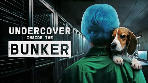 Undercover. Inside the bunker – vue 2