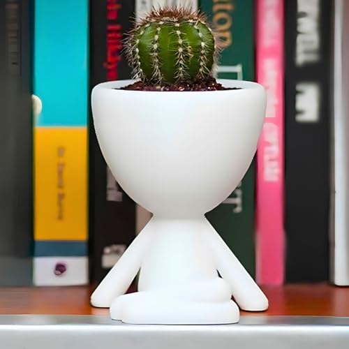 Kit Vasinhos 5 Unidades Bob Decorativo Suculenta Plantas