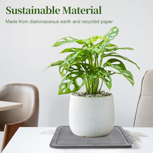 Dovesail Plant Saucer with Grooves, 12" Instantly Dry Diatomaceous Earth Stone Prevents Moisture Buildup, Flower Plant Tray Pot Saucer Keep Counter and Floors Dry and Clean -Dark Gray by Dovesail - Used condition - Image 5