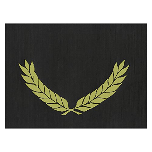 Dossier de certificat en relief anti-pliure Hayes H-VA341 H-VA342 rigide 30cm