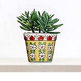 Zeem Handmade Ceramic