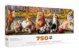 Cats Panoramic Jigsaw Puzzle Challenge