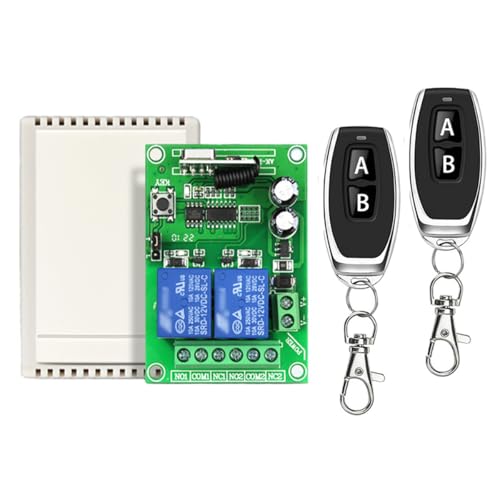 Nicear Módulo controlador RF con 2 controles remotos,