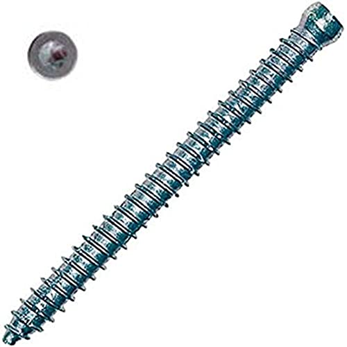 Fischer FFSZ Vite per Serramenti e Telai Finestre, Testa Cilindrica, Impronta Torx 5x82 T15 (50 Pz.)