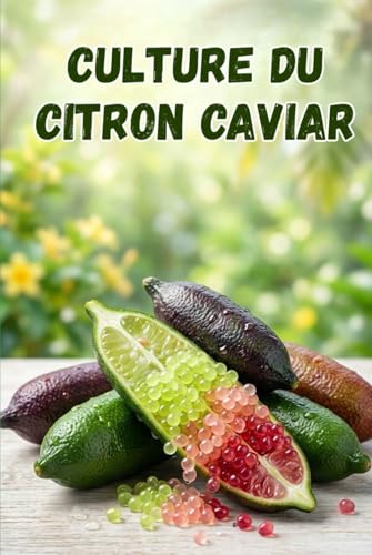 Culture du citron caviar: Guide complet pas à pas pour la culture du citron caviar — du choix de la variété à la préparation du sol, la plantation, l’entretien, la pollinisation et la récolte