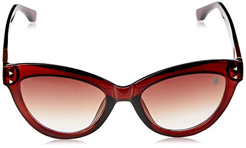 Óculos de sol óculos de sol, Polo London Club, Feminino, marrom, único