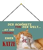  Blechschild Avec cordon de 30 x 20 cm - Inscription décorative : le plus beau ton du monde est la cordelette d\'un chat - Blechemma.