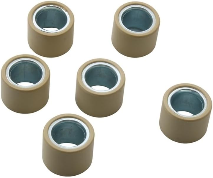 Variator Roller For Pantheon 125 150 Jazz Foresight 250 ADV300 SH300(23x18mm 16g)