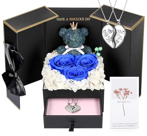 ADDWel Unique Sisters Gifts from Sister, Meaningful Preseved Roses and Cute Moss Bear with White Gold-Plated Brass Necklaces, Birthday Present for Big or Little Sis