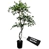Product Photo 1