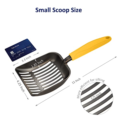https://m.media-amazon.com/images/I/41oB2sEdGxL._SL500_.jpg