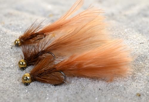 6ct - Tungsten Micro Wooly Bugger Jig Head Fly - Euro Nymph for Trout and Other Species (6ct - Brown - Hook #12)
