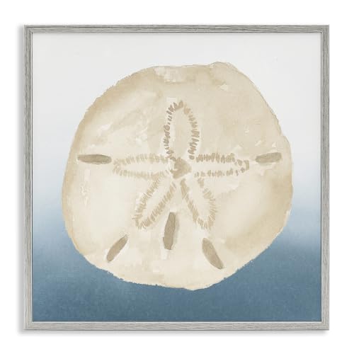 Sand Dollar Seashell Nautical Beach, 12 x 12 Inch Framed Giclée Print