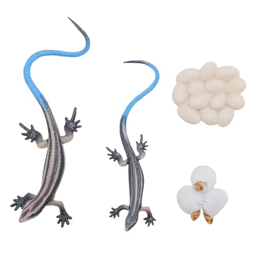 LjwZekyrnt Figura de Reptil de PVC Decorativa Educativa Realista de Juguete Modelo de Lagarto para decoración del jardín del hogar