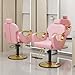 LOUVIXA Barber Chair for Hair Stylist, Height Adjustable Hydraulic Hair Reclining Salon Chair, 360 Degrees Rotation, Multi-Function Shampoo Chair for Salon Barbershop (Modern Pink)