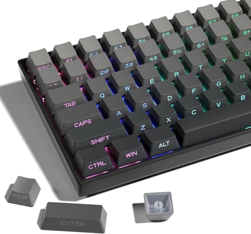 XVX PBT キーキャップ - 136 キーOEM プロファイルサイドプリントキーキャップ 、ダブルショット発光式カスタムキーキャップ、Cherry/Gateron MX スイッチ搭載キーボード向けシンプルデザイン-グラデーショングレー