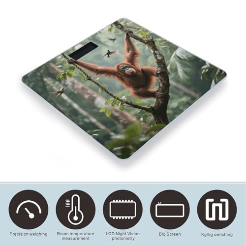 Báscula Digital de Baño Swinging Orangutan Precisa 400 lb miniatura 3