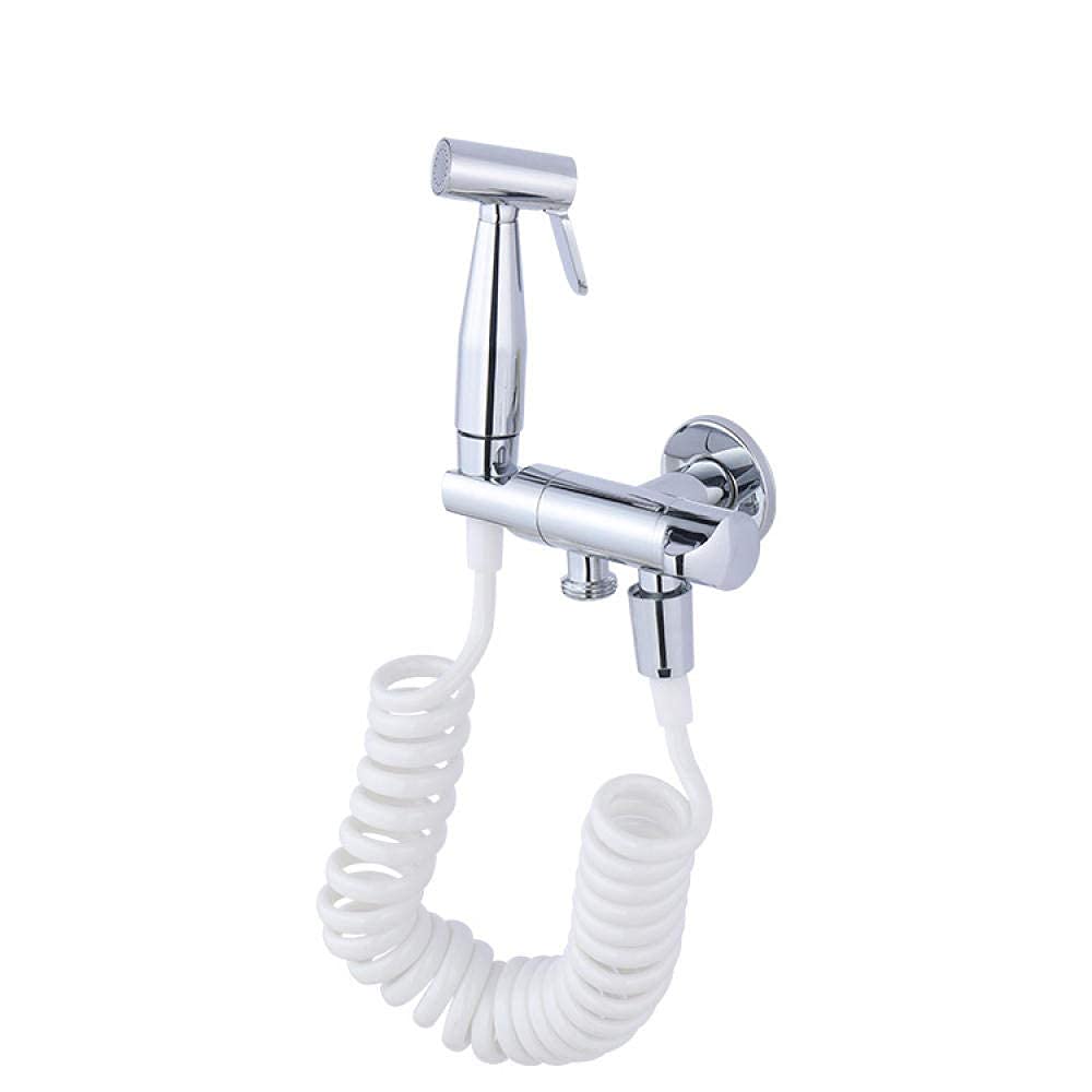 Pistolet de pulvérisation en acier inoxydable pour WC familial