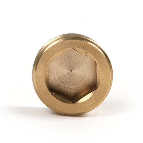 Allpen  20Pcs Brass Pipe Fitting,1/8" 1/4" 3/8" 1/2" Npt Brass Internal Hex Thread Socket Pipe Plug Set #TOP4