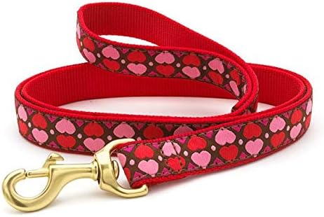 Up Country Valentine and Hearts Pattern Dog Collars and Leashes (All Hearts Dog Leash, 6 Foot Long 1 Inch Wide Width)