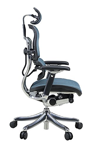 Amazon.co.jp: メーカー組立完成品 エルゴヒューマン プロ オフィス