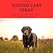 PetAseptic Wound Care Spray | Promotes Healing to Minor Cuts, Scrapes, Burns, and Other Skin Issues | Clear, Stainless, & Greaseless | 4oz Spray Bottle