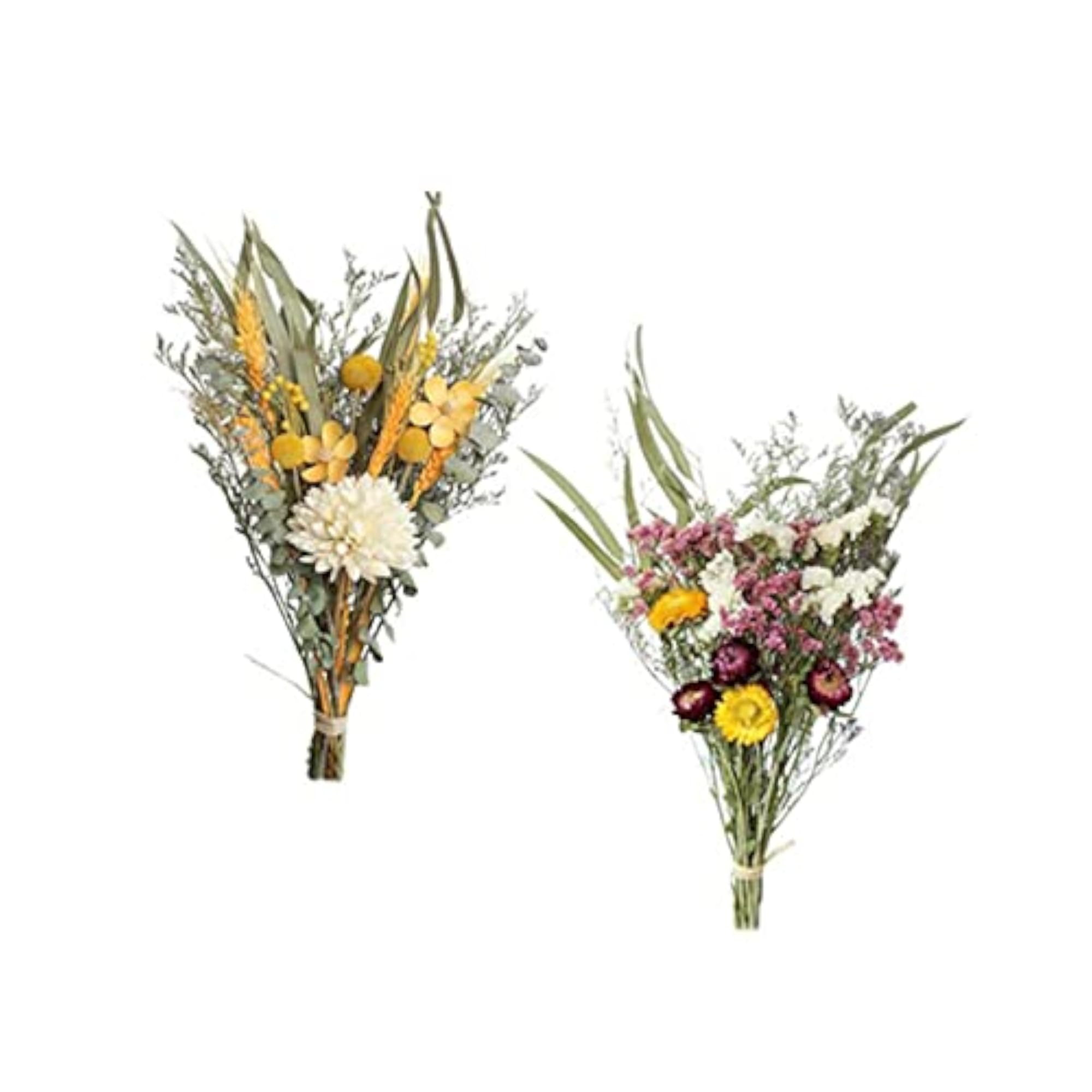 2Pcs Natural Dried Flower Crafts for Home