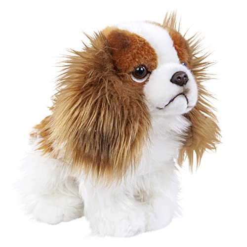 Teddys Rothenburg Plüschhund Cavalier King Charles Spaniel 25 cm Kuscheltier Hund