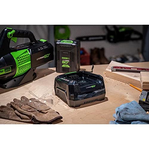 Pro 60V Ultrapower 6 Amp Rapid Battery Charger #TOP2