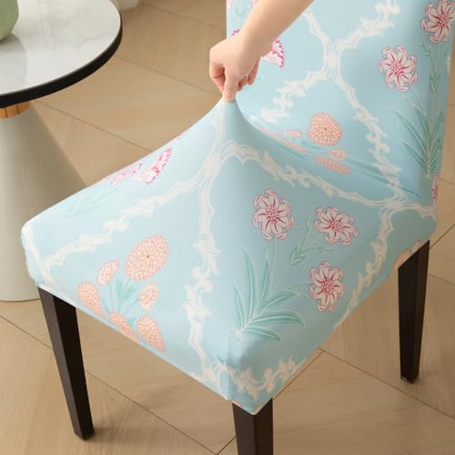 Image of House of Quirk Elastic Chair Cover Stretch Removable Washable Short Dining Chair Cover Protector Seat Slipcover (Pack of 1, Gulshan Sky)