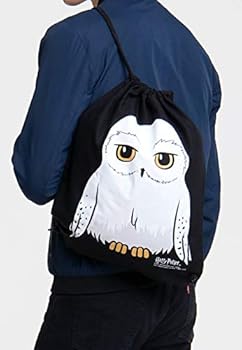 Sac à dos HARRY POTTER Hedwig 1 compartiment bleu : Chez