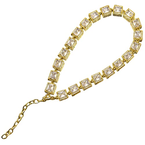 Collier en acier en titane pour chiens idéal pour balades en ville