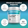 MYOXCIENCE Creapure Creatine | 5 Grams German Creatine Monohydrate Per Serving | Supports Muscle Performance, Lean Body Mass, Cognition (90 Serving Jar)