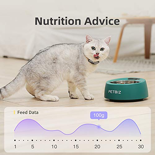 PETBIZ G20 GPS Pet Tracker, 30 Days Battery Life, IPX7 Waterproof GPS Tracker for Cat and Dogs (Ice camo)