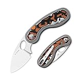 Kizer Microbe EDC Pocket Knife, 2.19" AE...